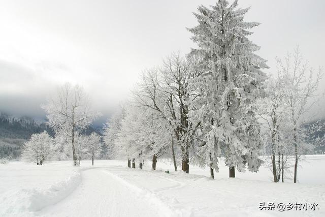 今冬数九时间表来了！从哪天开始入九？春节在几九？过年很冷吗？