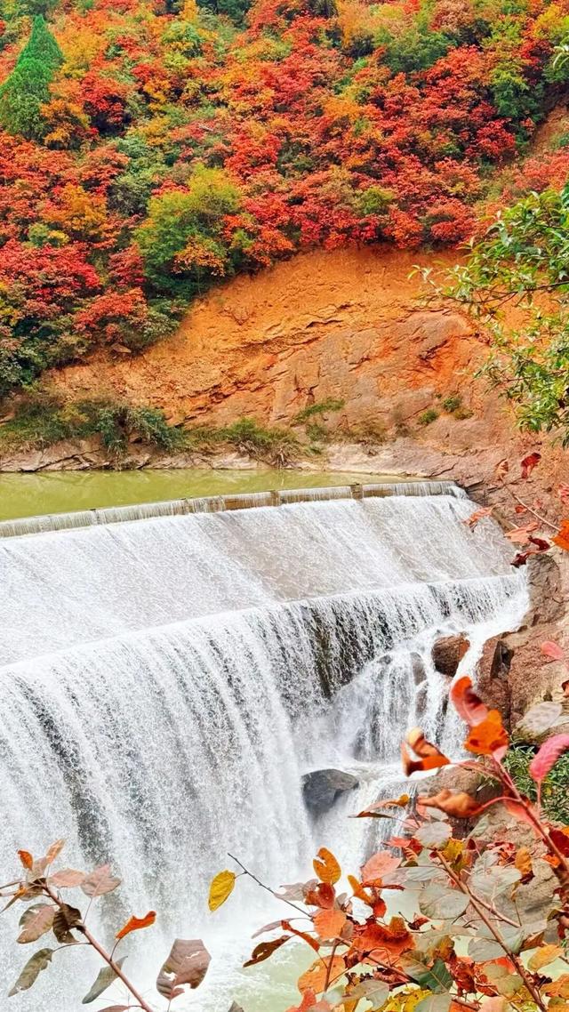 秋日限定 | 两当：把秦岭秋韵装进红叶里