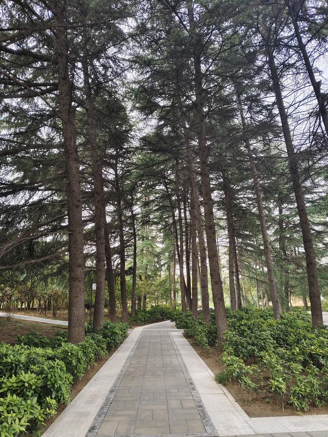 徒步穿越西流湖，赏秋正当时