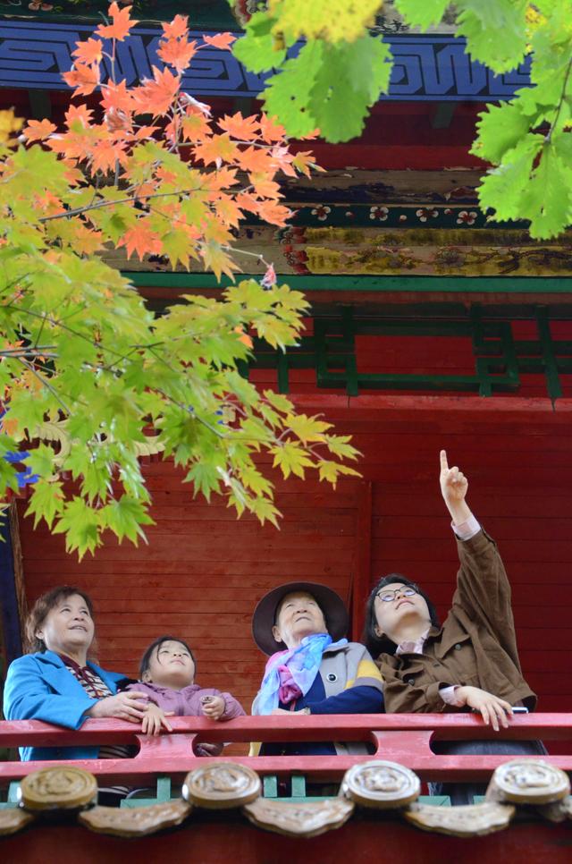 邂逅身边的绝美秋色