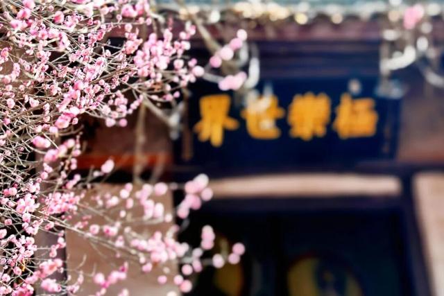 观音寺，太出片了！