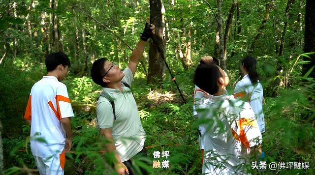 “全域课堂”带动佛坪研学热