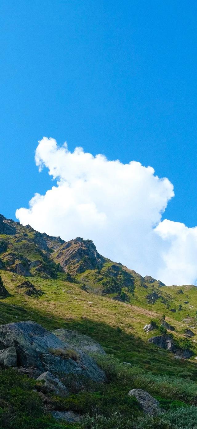 手机壁纸|美如画的自然风景