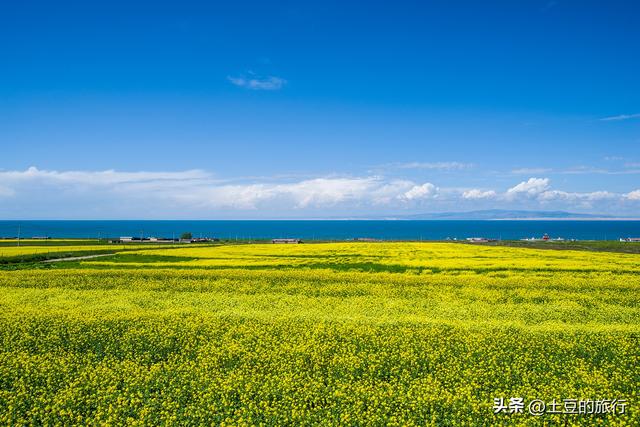 第46，甘南青海自驾游总结，说走就走的旅行，风景在路上