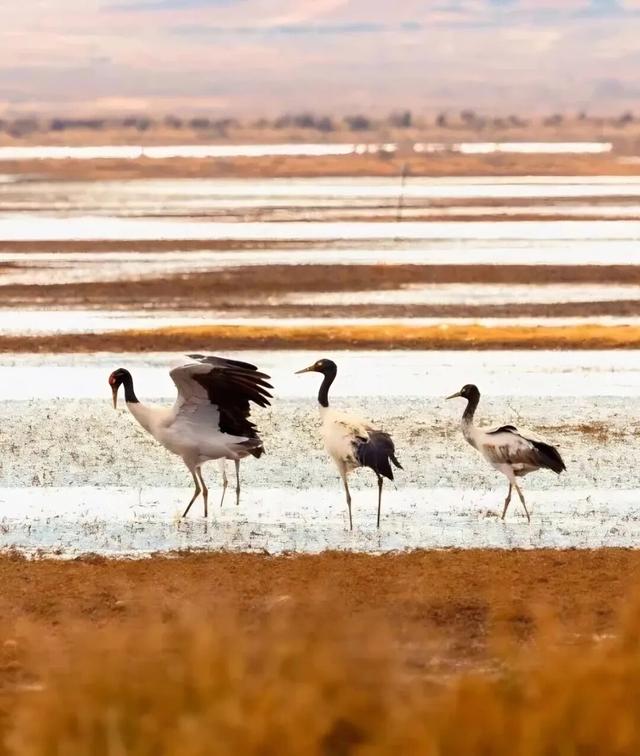 被一阵风吹来了大凉山，不想离开了！