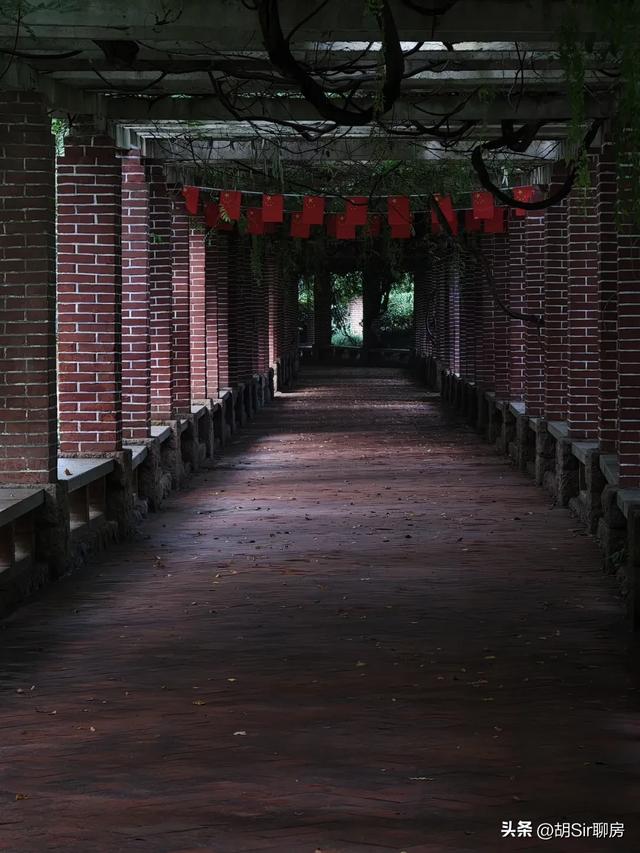 来青岛数十年，竟错过这里！