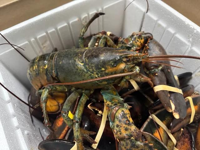 天津有海吗？天津的海有什么？