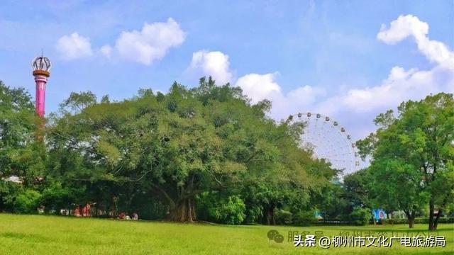 别等空调房！雀儿山公园已备好天然“冷气”~