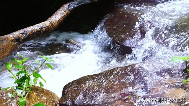 揭开龙陵古城山神秘面纱：层峦间藏着的世界级自然奇观