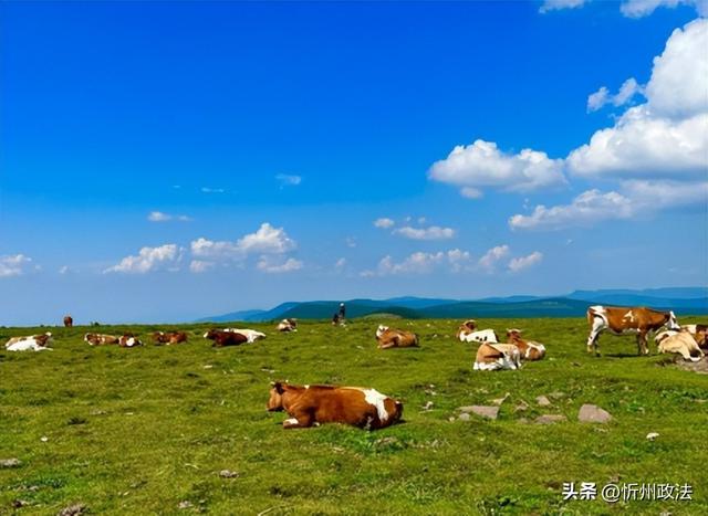 凉风送爽，忻州这里18℃！