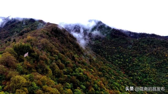 烟雨官鹅：国庆里的一轴流动水墨