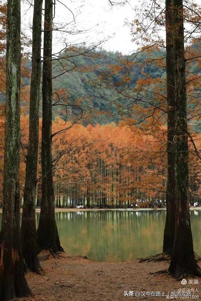 龙池秋色惹人醉