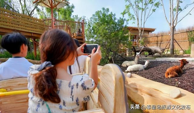 2025年度盘点（旅游篇）：新质生产力赋能全国滨海旅游目的地建设