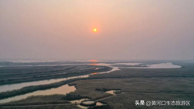 【黄河口生态旅游区】“12.4”国家宪法日——当黄河潮涌遇见法治之光