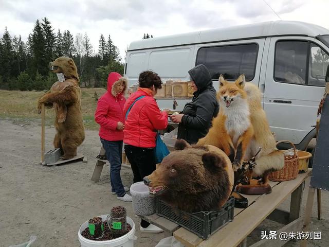 房车自驾俄罗斯第7天，叶尼塞河畔的魅力奇遇