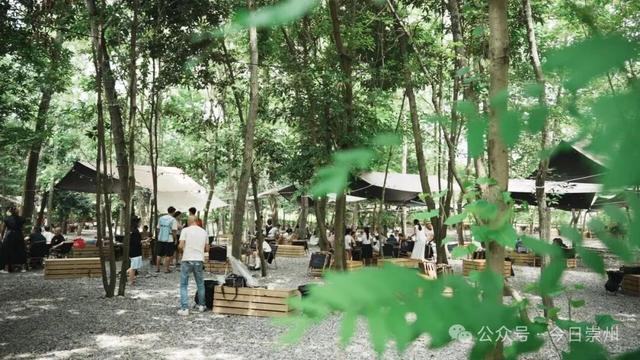 枕溪水、伴林风，崇州这个营地好玩又出片
