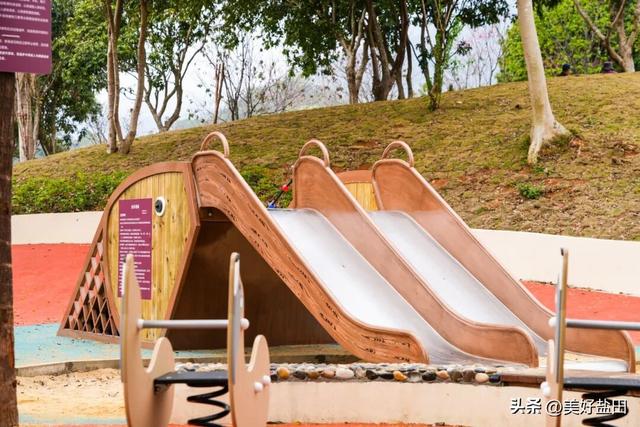 二刷、三刷……遛娃党解锁恩上湿地新玩法！