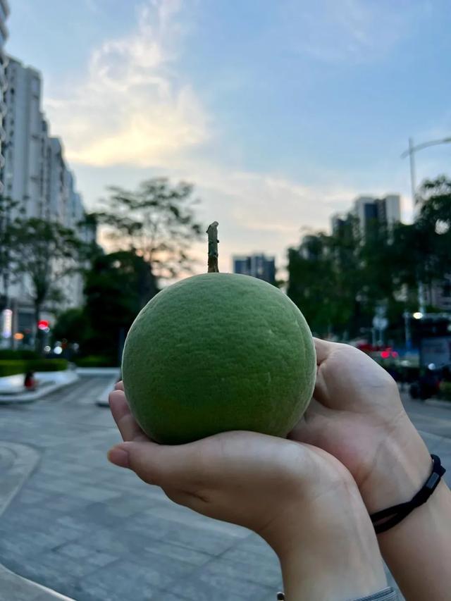 7月，夏天已经不会变成暑假来拯救我们了（下）
