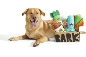 宠物盲盒留存率95%？销量破亿的BarkBox这样做！图片