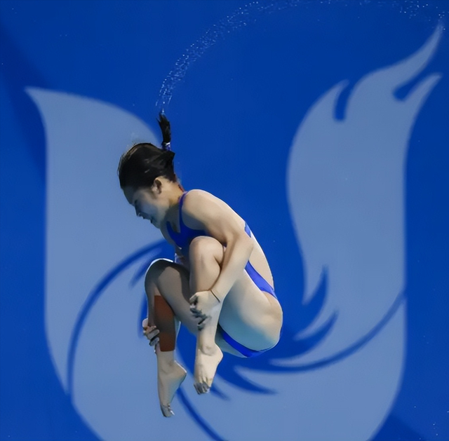 直到看到王伟莹“无奈透露”，才明白，原来婵宝魅力这么大