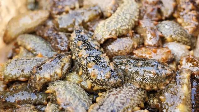 芦花千年尽飞雪