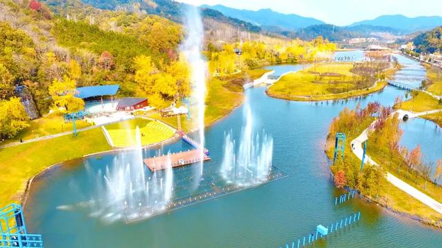 银杏谷旅游度假区缘何火爆出圈？