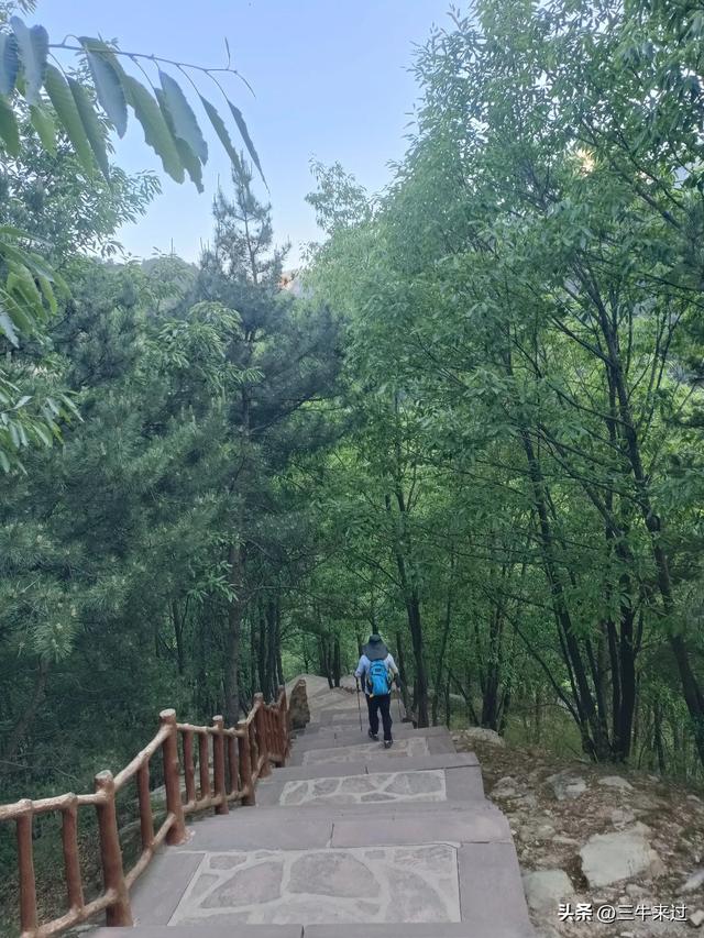 无为在歧路，武安涉县平顺临清（2）