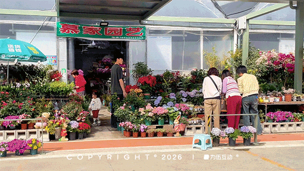 “马”上逛花街！珠海20年老花市焕新登场，新春打卡攻略速收！