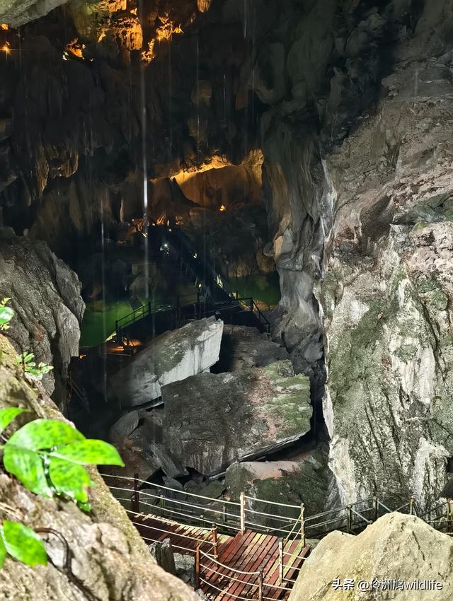 马来西亚(29)砂拉越州③姆鲁山清水洞·风洞