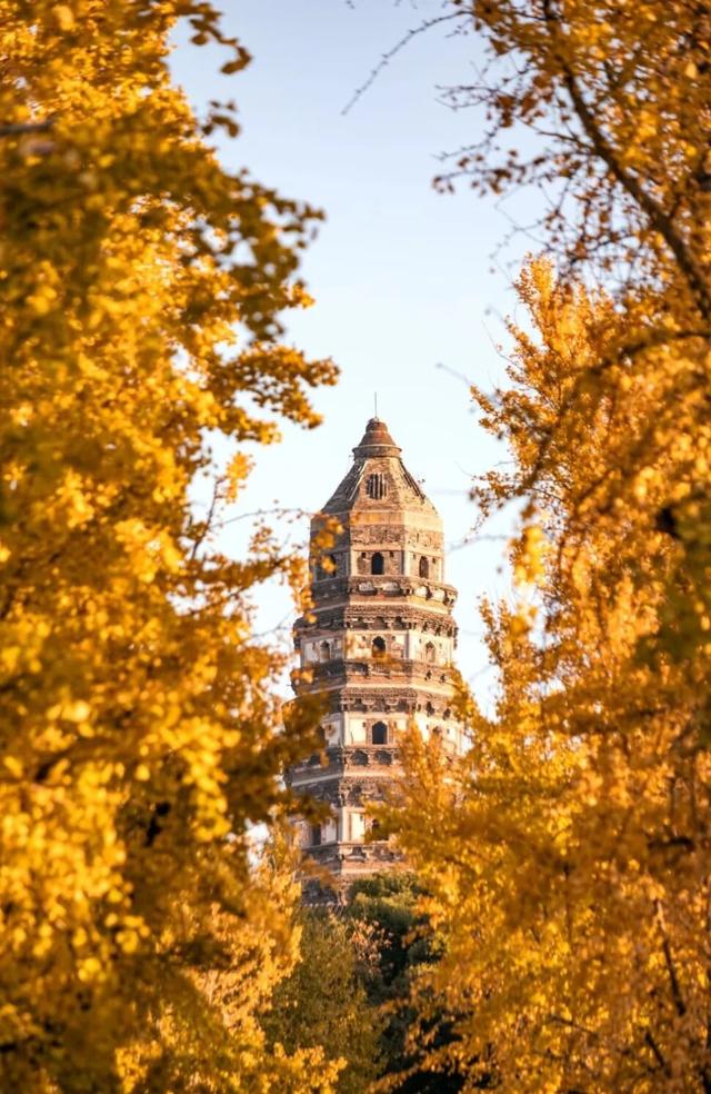 来虎丘山，这里有你更好看！