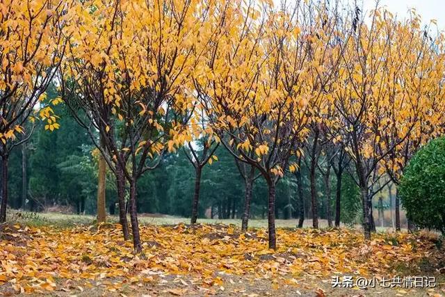 让你瞬间释怀的走心文案，建议永久收藏。
