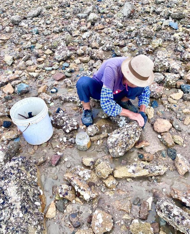 厦门岛内赶海宝藏地点推荐，五缘湾沙滩，黄厝海滨浴场，不可错过