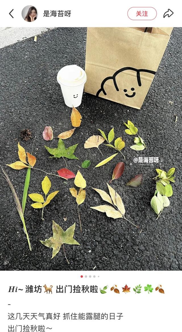 我捡，我捡，我在潍坊捡捡捡！