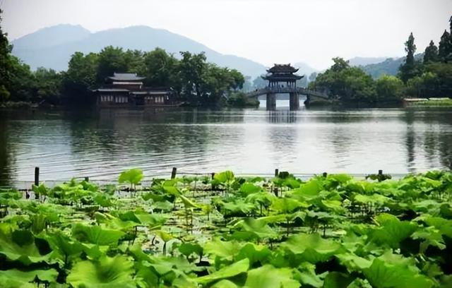 我西安人，退休后到杭州带孙子，说实话，杭州是真适合老年人生活