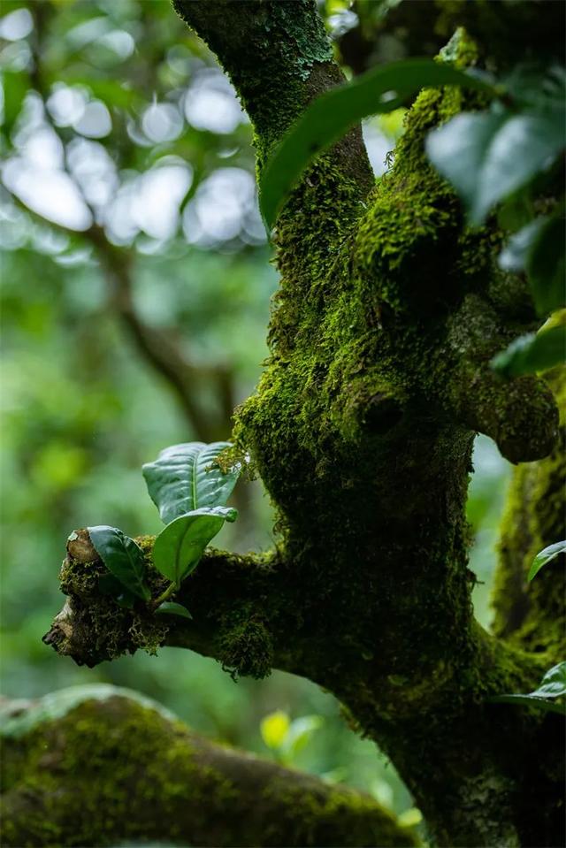 挖到了7座真正的避寒小城，游客少物价低，不冻人，超适合全家去
