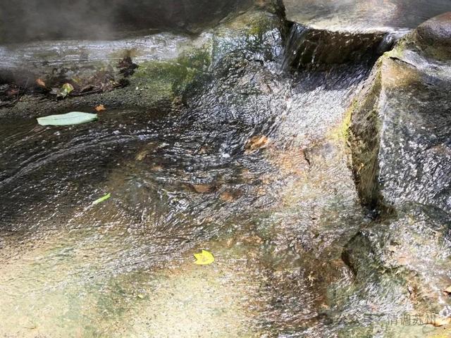 千年鹤涧，苏州人的夏日纳凉秘境