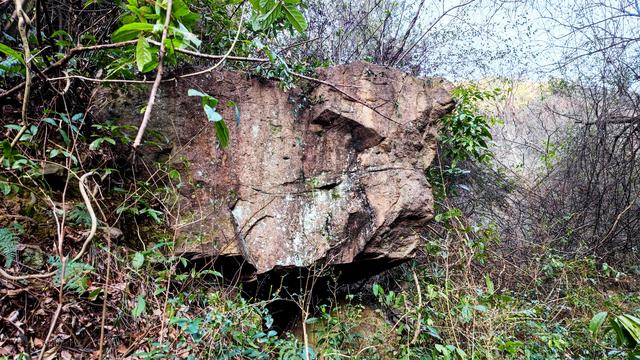 白鹤湾村与太子岭古道：一段镌刻历史与自然的千年传奇