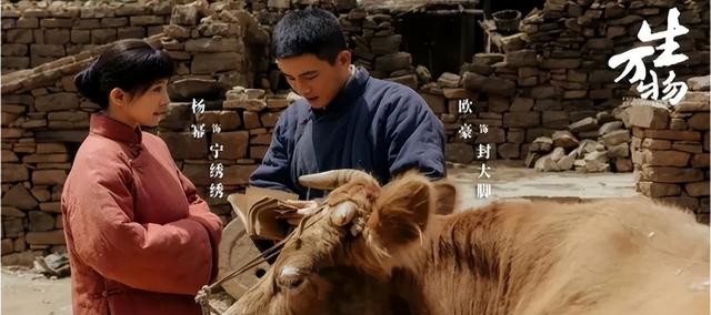 跟着《生万物》《我们的河山》吃遍临沂！解锁 “沂蒙文脉・舌尖奇遇之旅”