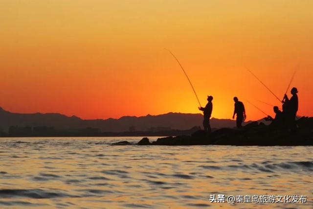 秦皇岛,凭什么成为TOP1?