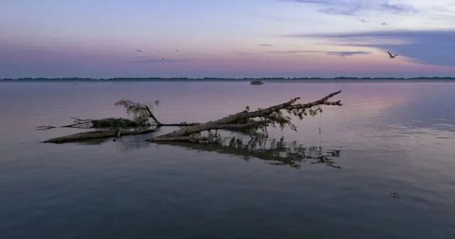 苏州有个低调的湖泊,面积比金鸡湖大很多,人气却相差甚远