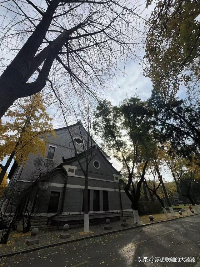 俺那天进齐鲁大学里面来了一场时空旅行（山东大学趵突泉校区）