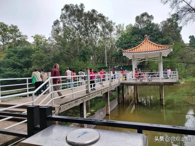 一年四季都可以去打卡的城市绿州麓湖
