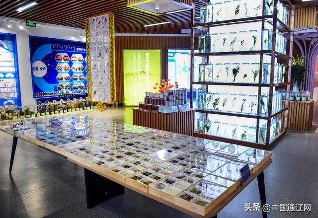博物馆的玻璃柜内外：千年蒙医药的过去被珍藏，未来正在书写……
