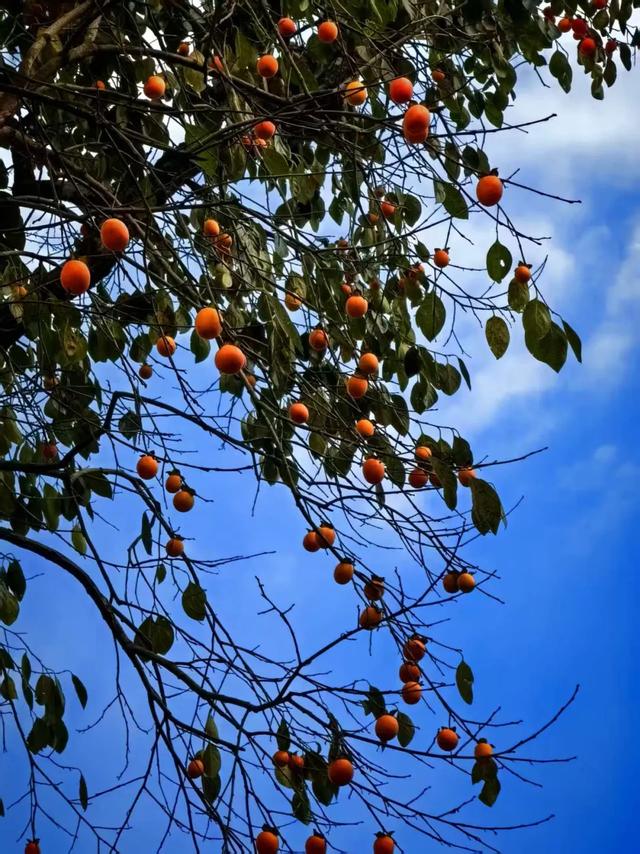 徒步的十大功劳