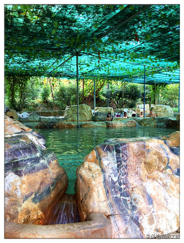 冬日暖“泉”攻略！来富民开启暖意融融的休闲康养时光