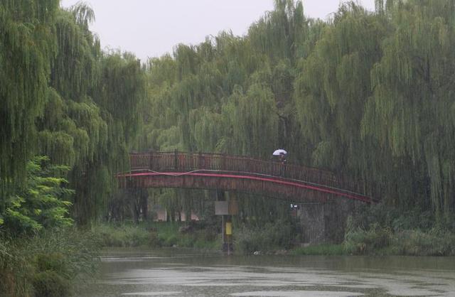 烟雨朦胧西安曲江池