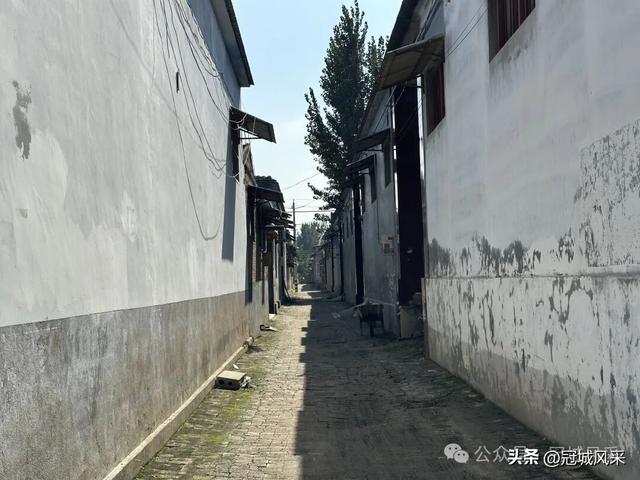 冠县乡韵·兰沃乡大柳邵村