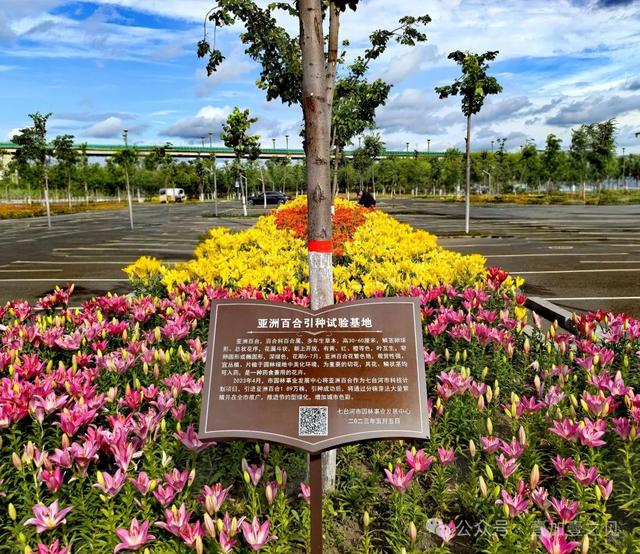 山水园林城 魅力七台河（上篇）