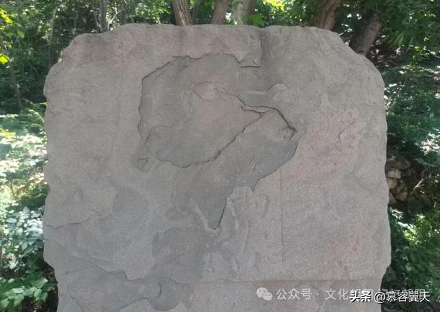 清代的禁止乱砍滥伐石碑