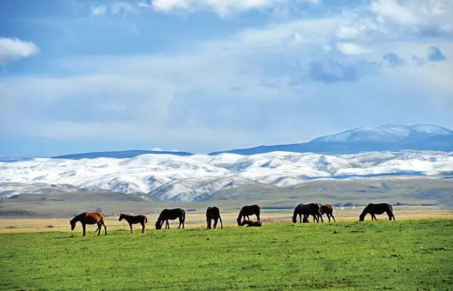 “青甘大环线”七日游，从西宁到兰州（2025.10)